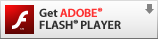 [Adobe Flash Player logo]