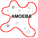 [Amoeba logo]
